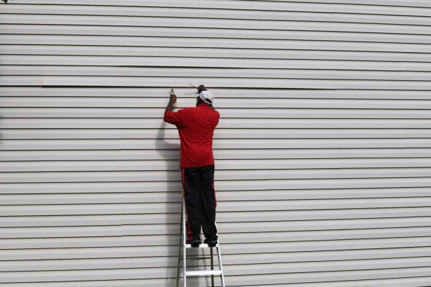 Best Siding Painting and Refinishing  in Lake Of The Woods, IL