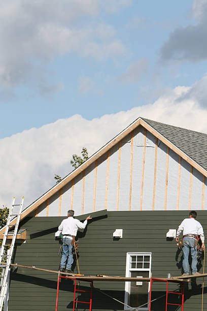 Best Siding for New Construction  in Lake Of The Woods, IL