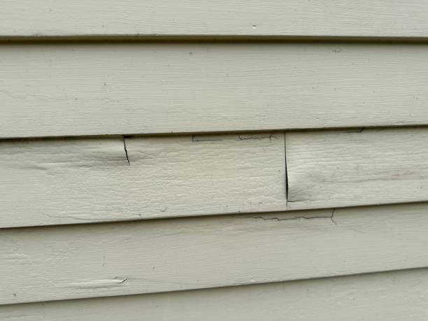 Best Engineered Wood Siding  in Lake Of The Woods, IL